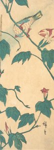 Morning Glories and Bird