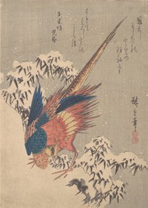 Pheasant Among Snow-laden Bamboo on Hillside by Ando Hiroshige
