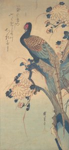 Pheasant with Chrysanthemums, ca. 1835 by Ando Hiroshige