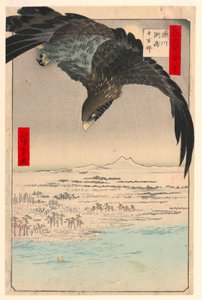 Plain at Suzaki Fukagawa from the Series One Hundred Views of Edo by Ando Hiroshige