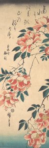 Roses by Ando Hiroshige