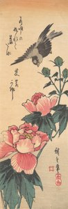 Sparrow and Hibiscus