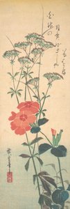Superb Pinks and Chinese Agrimony, ca. 1836