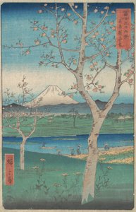 View of Mount Fuji from Koshigaya, Province of Musashi, 4th Month, Horse Year 1858