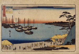 Sailboats in Harbor