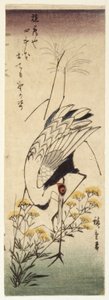Crane with Wild Mustard by Ando or Utagawa Hiroshige