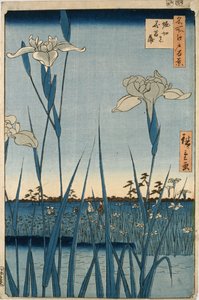 Horikiri Iris Garden by Ando or Utagawa Hiroshige