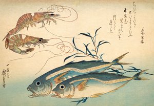 Japanese Horse Mackerel and Japanese Tiger Prawn by Ando or Utagawa Hiroshige