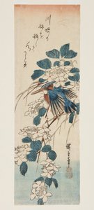 Kingfisher and Viburnum by Ando or Utagawa Hiroshige