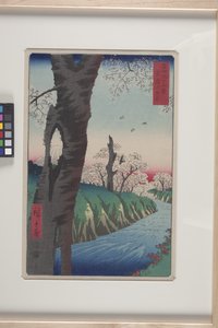 Koganei in Musashi Province