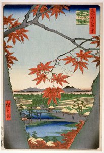 Maples at Mama, from the Series 