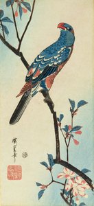 Parrot on a Branch