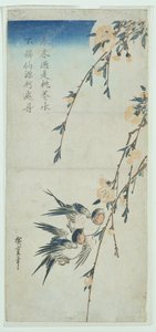 Swallows and Peach Blossom in Moonlight