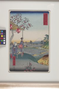 Teahouse With View Of Mt. Fuji In Zoshigaya (Zoshigaya Fujimi Chaya)