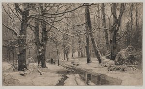 Winter Day in a Forest by André Bork