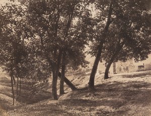 Trees, c. 1855