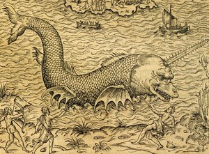Sea monster, engraving from Universal Cosmology