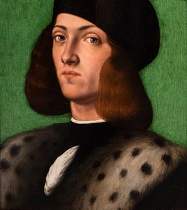 Portrait of a Young Man (detail) by Andrea Previtali