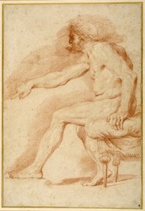 Bearded nude seated on a couch all