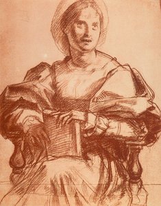 Portrait of Lucrezia del Fede by Andrea del Sarto