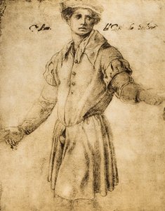 Portrait of a Young Florentine