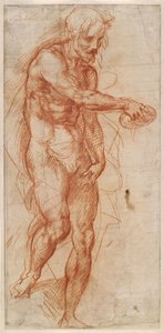 Saint John the Baptist Study