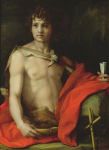 St. John the Baptist by Andrea del Sarto