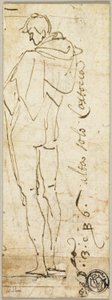 Standing Male Nude by Andrea del Sarto