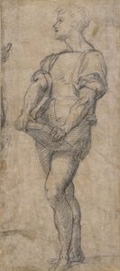 Standing youth holding a book, ca 1515 by Andrea del Sarto