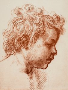 Study for the Head of St. John (Child) of the Holy Family by Andrea del Sarto