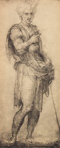 Study of a Male Figure by Andrea del Sarto