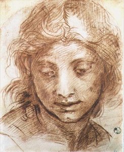 Study of the Head of a Young Woman