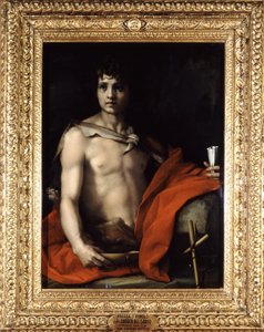 Unknown Image by Andrea del Sarto