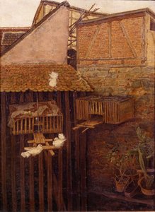 Corner in a Courtyard