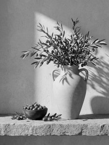 Sunlit Olive Still Life