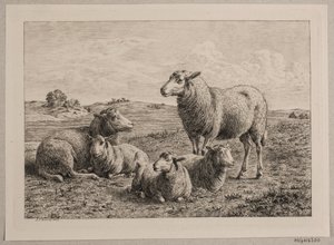 Sheep and Lambs in the Field by Andreas Peter Madsen