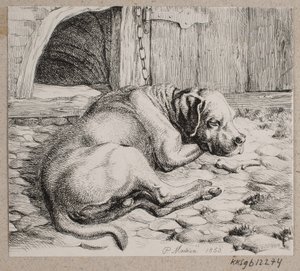 A Sleeping Chain Dog