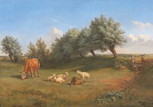 A Field