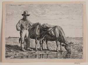 Shepherd with Cows