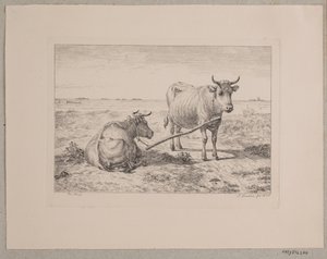 Two Connected Cows by Andreas Peter Madsen
