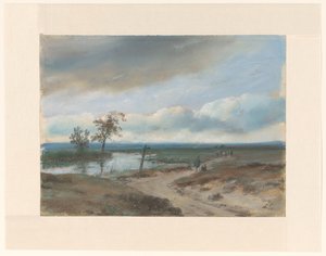 Fen Landscape