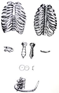 The Plates from the First Book of the De Humani Corporis Fabrica by Andreas Vesalius