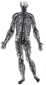 The Plates from the Fourth Book of the De Humani Corporis Fabrica