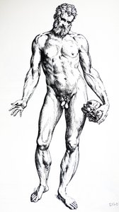 The Plates from the Seventh Book of the De Humani Corporis Fabrica by Andreas Vesalius