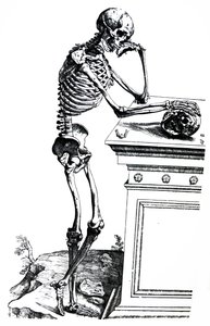 The Plates from the Seventh Book of the De Humani Corporis Fabrica by Andreas Vesalius
