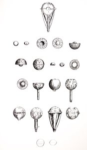 The Plates from the Seventh Book of the De Humani Corporis Fabrica by Andreas Vesalius