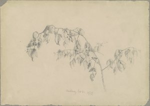 Blackberry by Andrew Fisher Bunner