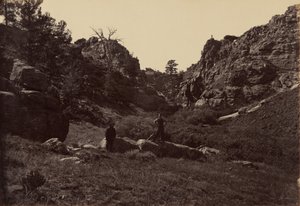 Plate 10. Devil