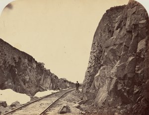 Plate 1. Carmichael