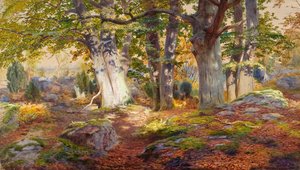 Autumn Sunlight after Rain, Fontainebleau by Andrew MacCallum
